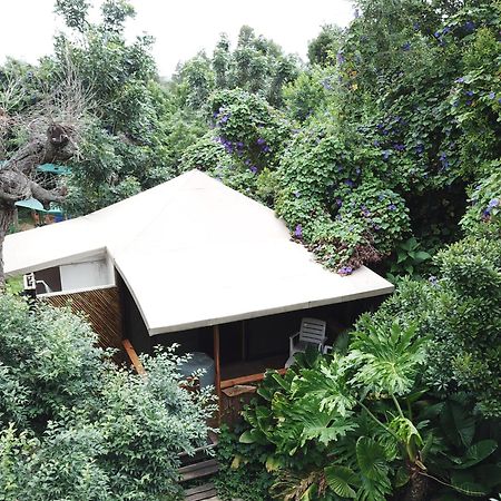 Mali Boutique Lodge & Tube 'N Axe Budget Accommodation Stormsrivier Ruang foto