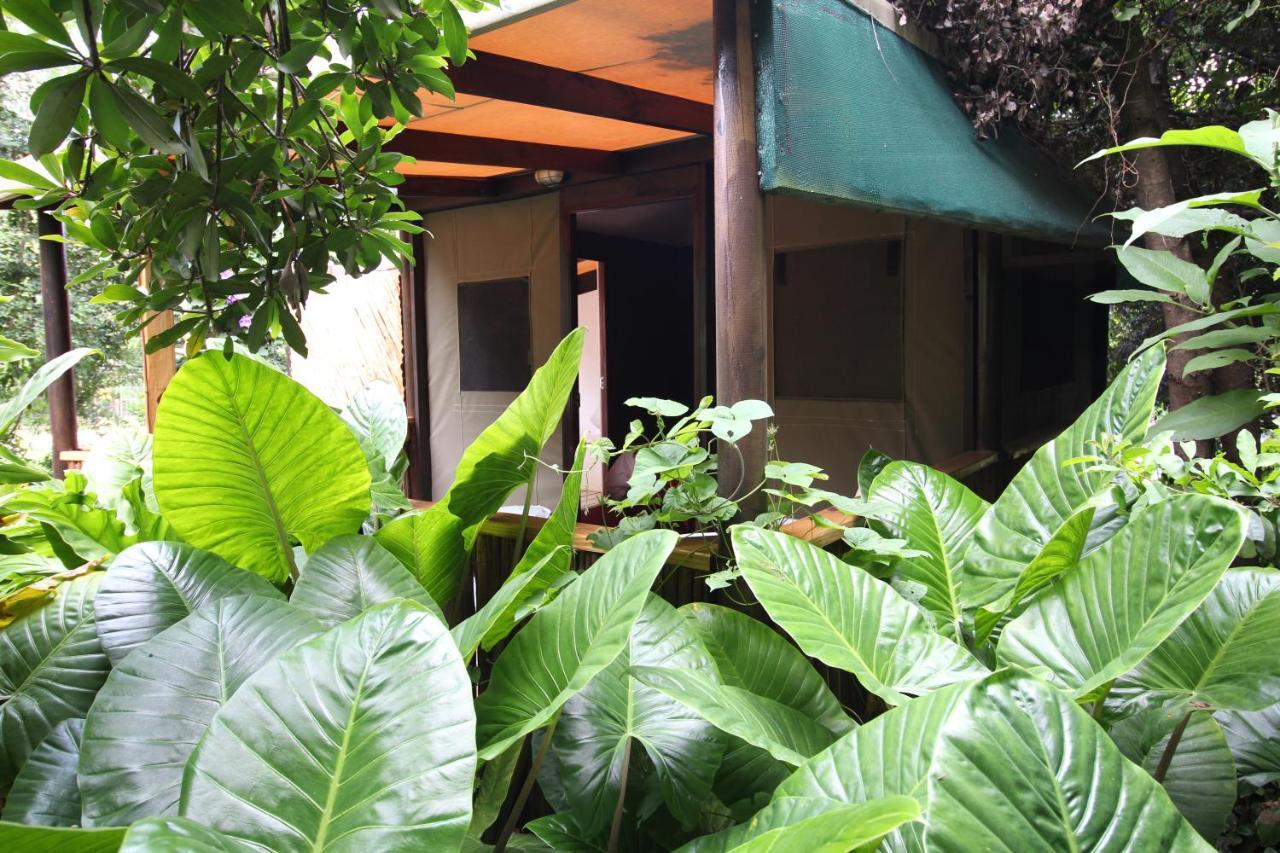 Mali Boutique Lodge & Tube 'N Axe Budget Accommodation Stormsrivier Bagian luar foto
